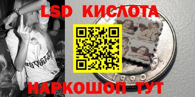 гидропоника Будённовск