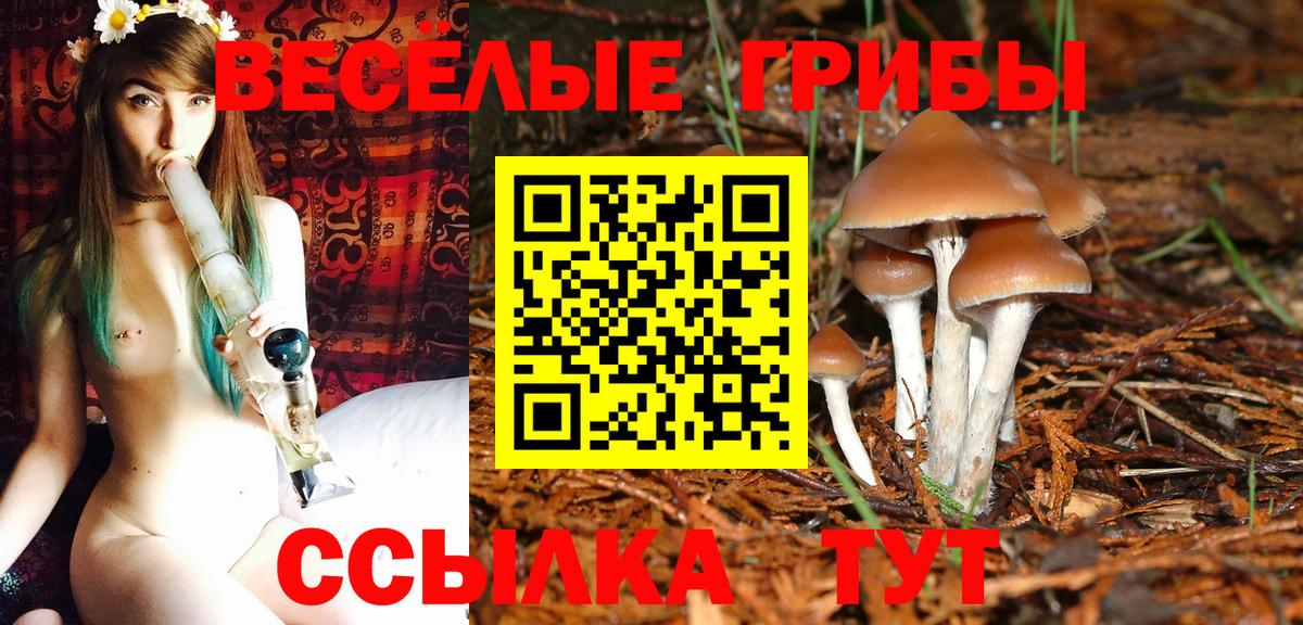Тихвин  Галлюциногенные грибы прущие грибы  наркота  Вход с VPN 